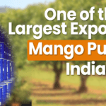 Mango Pulp in India Shimla Hills Offerings Pvt Ltd