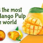 Mango Puree Pulp Shimla Hills SHOP