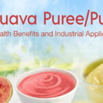 Guava Puree Shimla Hills Offerings Pvt Ltd