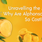 Alphonso Mango Puree Shimla Hills