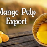 Mango Pulp Export Shimla Hills