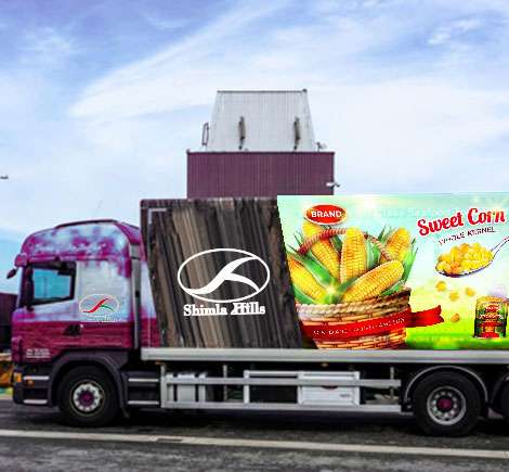 Vegetable Concentrates