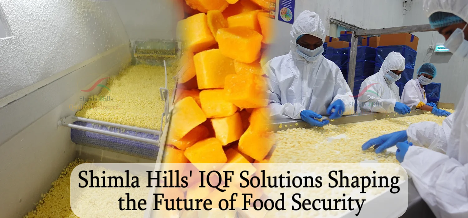 Shimla Hills' IQF Solutions