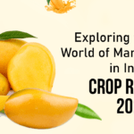 Mango Pulp Varieties Shimla Hills