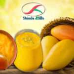 Alphonso Mango Pulp Shimla Hills