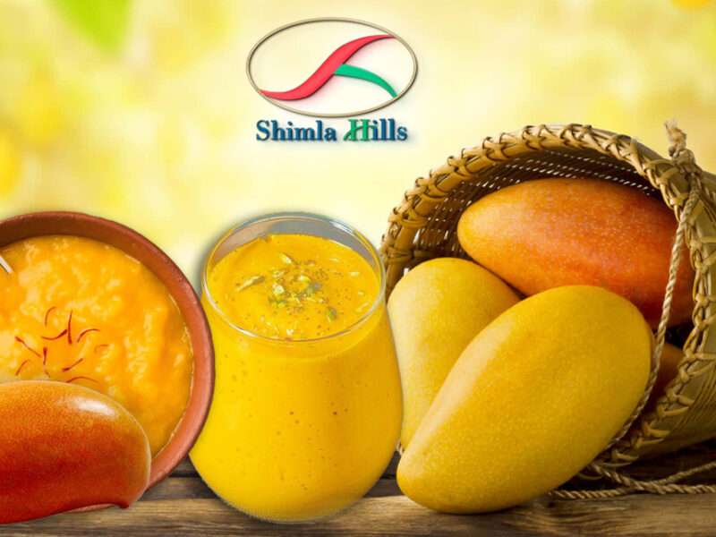 Which is the largest exporter of mango pulp in India?