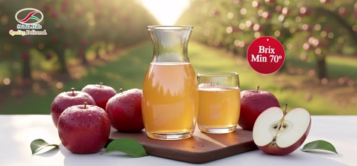 Apple Juice Concentrate Shimla Hills