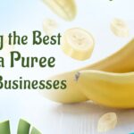 Banana Puree Shimla Hills Offerings Pvt Ltd