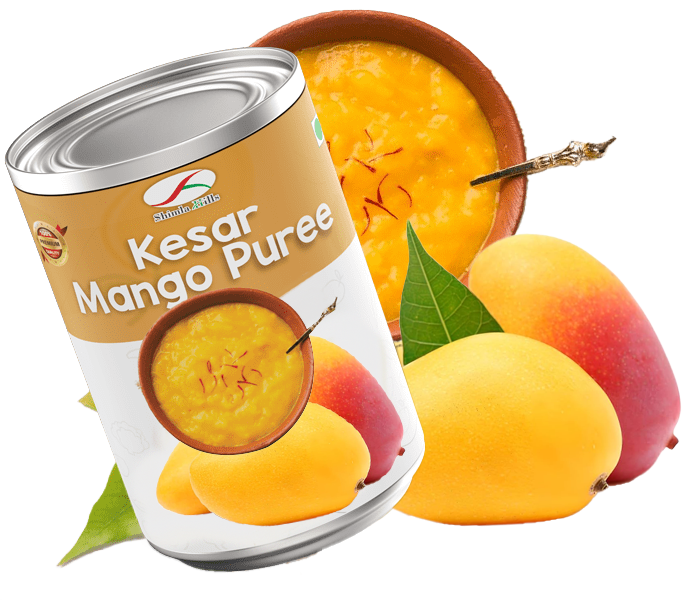Kesar Mango Puree Canned Shimla Hills