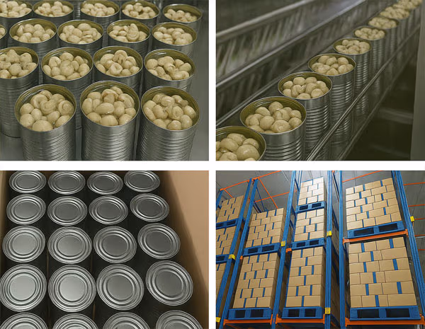 Canned Mushroom Shimla Hills SHOPL