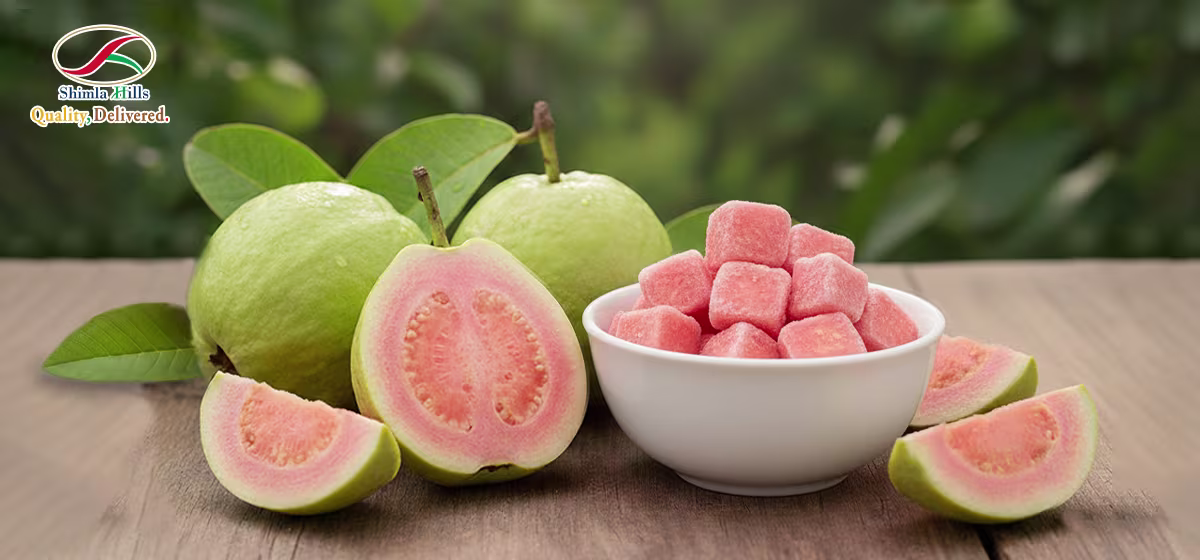 Frozen Guava Pulp Export