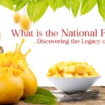 National Fruit of India Shimla Hills