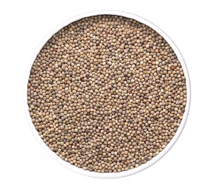 Green Millets Shimla Hills SHOPL