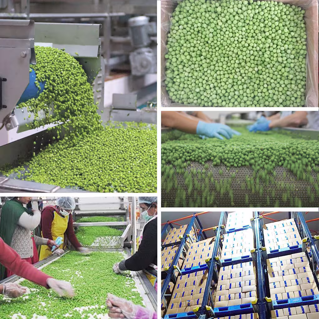 IQF Green Peas Shimla Hills Offerings