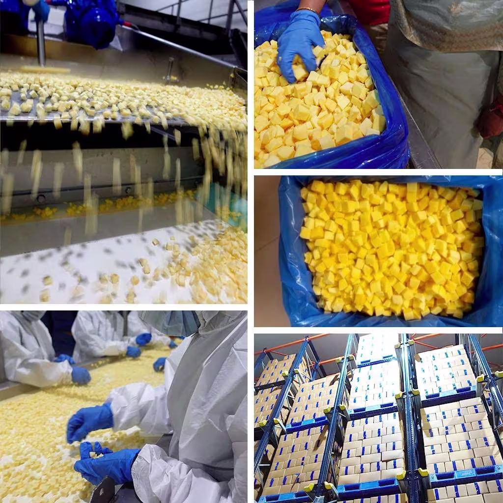 IQF Mango Dices Shimla Hills Offerings