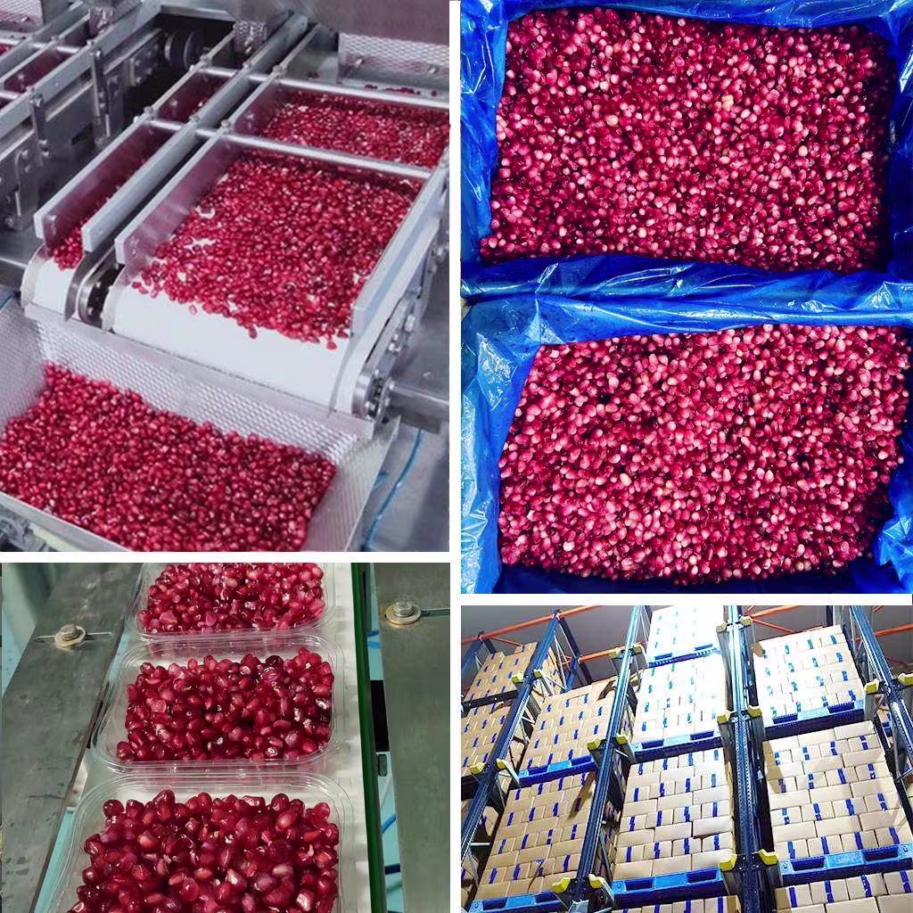 IQF Pomegranate Arils Shimla Hills