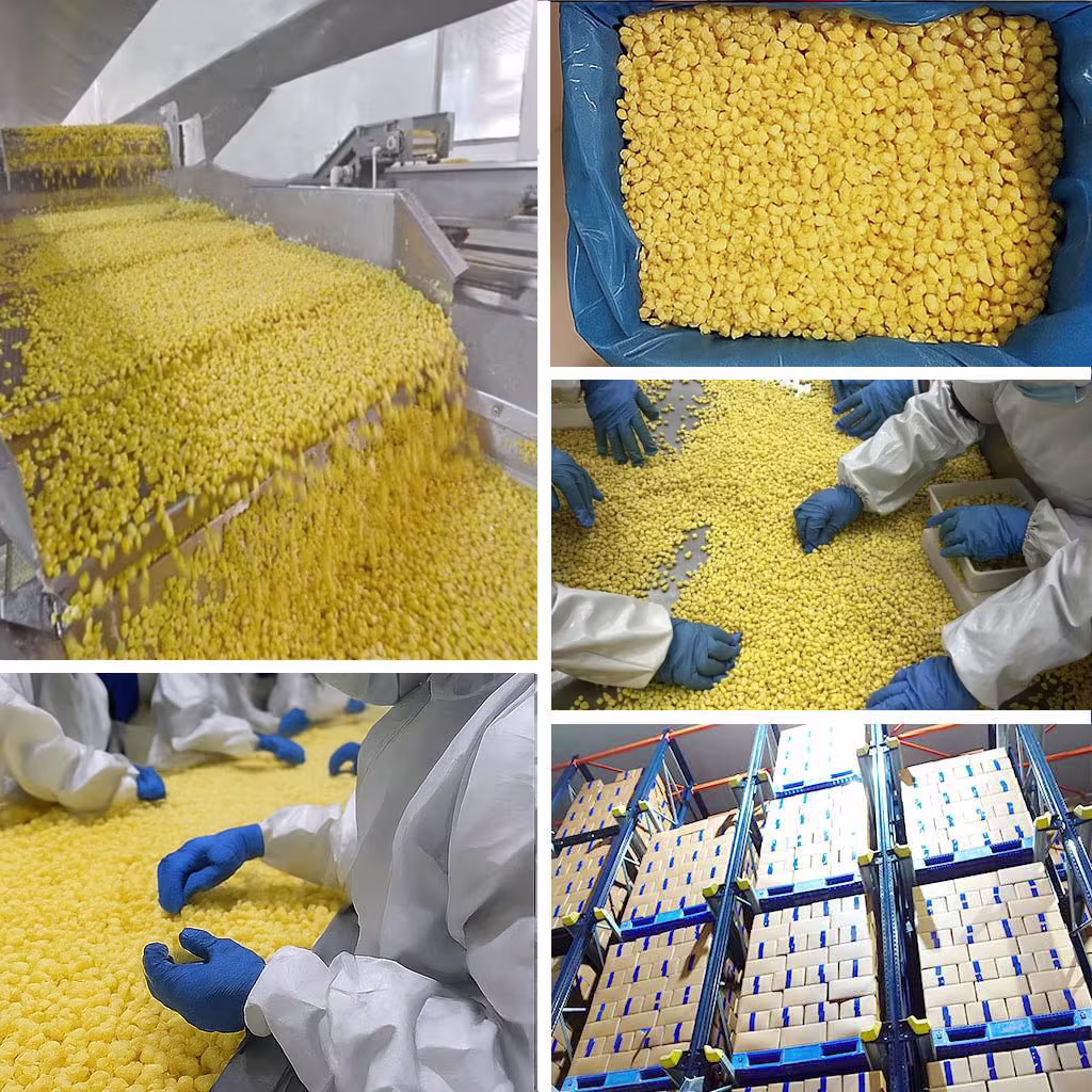 IQF Sweet Corn Kernels Shimla Hills