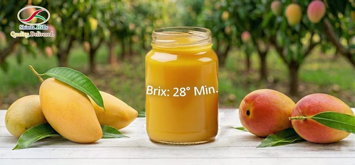 Mango Concentrate Shimla Hills
