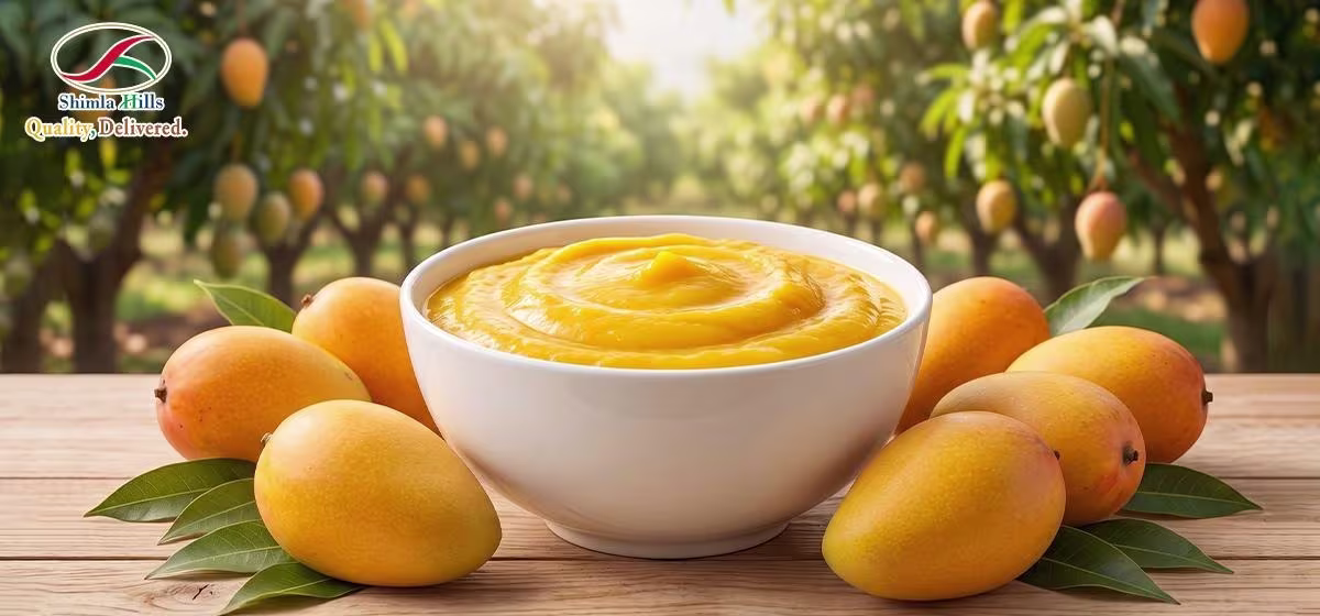 Mango Pulp Manufacturers in India