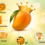 National Fruit of India