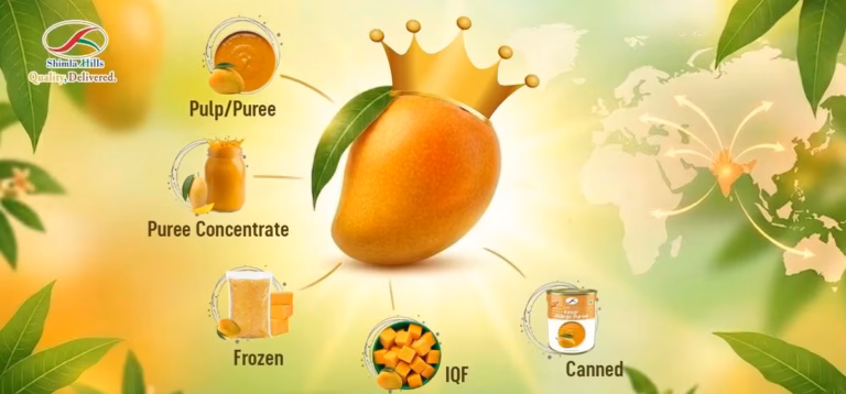 National Fruit of India