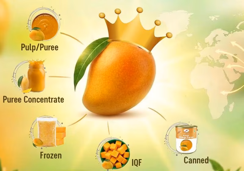 National Fruit of India