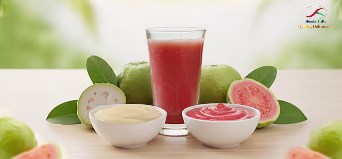 Shimla Hills Guava Pulp Manufacturers India