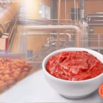 Tomato Paste Manufacturer Shimla Hills SHOPL