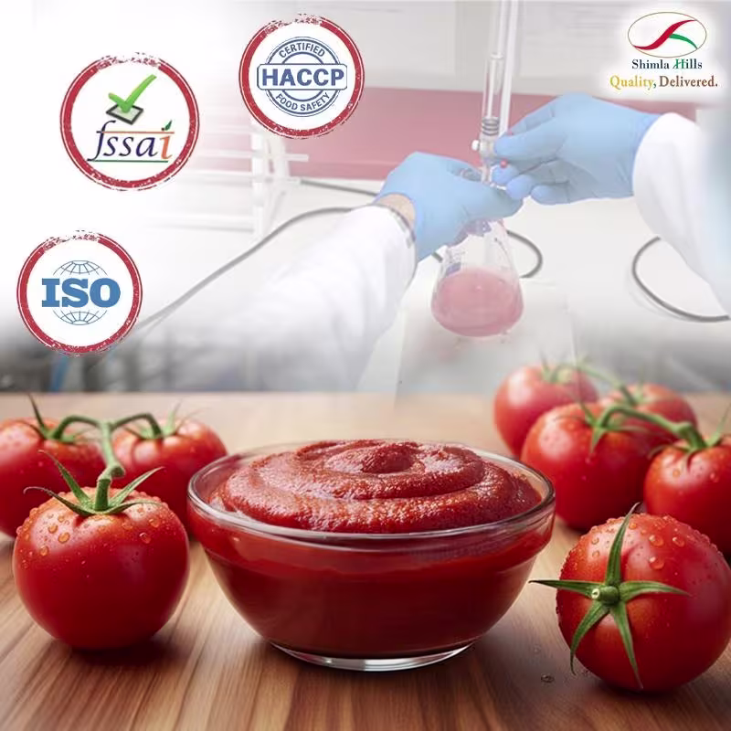 Tomato Concentrate Shimla Hills