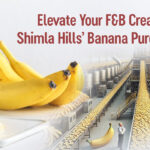 Banana Puree Concentrate Shimla Hills
