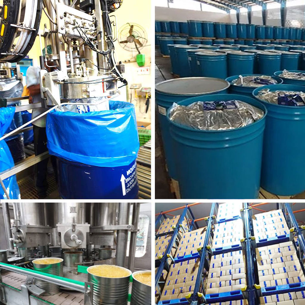 Aseptic Fruit Pulp Shimla Hills