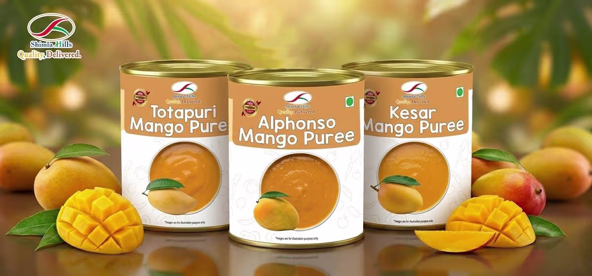 Canned Mango Pulp