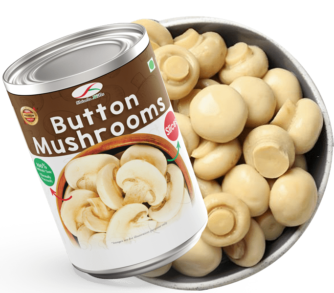 canned-mushroom