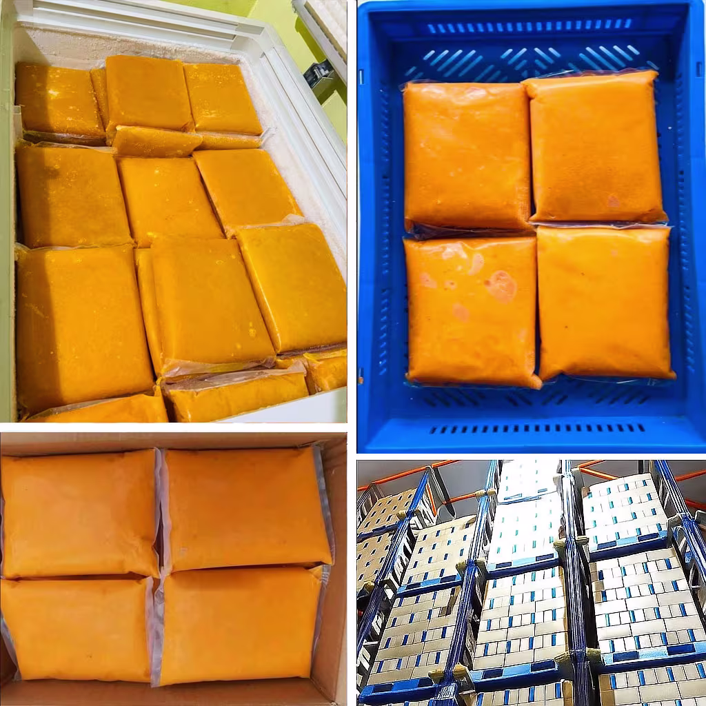 Frozen Alphonso Mango Pulp Shimla Hills