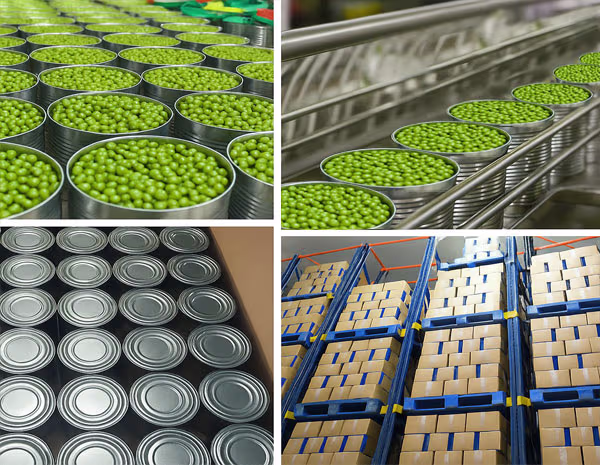 Canned Green Peas Shimla Hills SHOPL