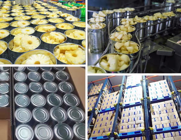 Canned Pineapple Slices Shimla Hills