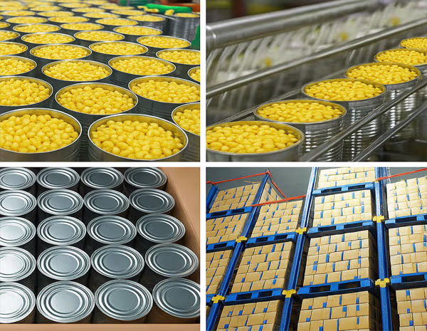 Canned Sweet Corn Shimla Hills