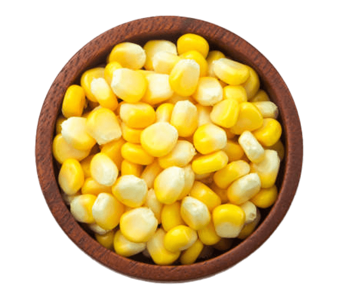 indian-maize-yellow-corn