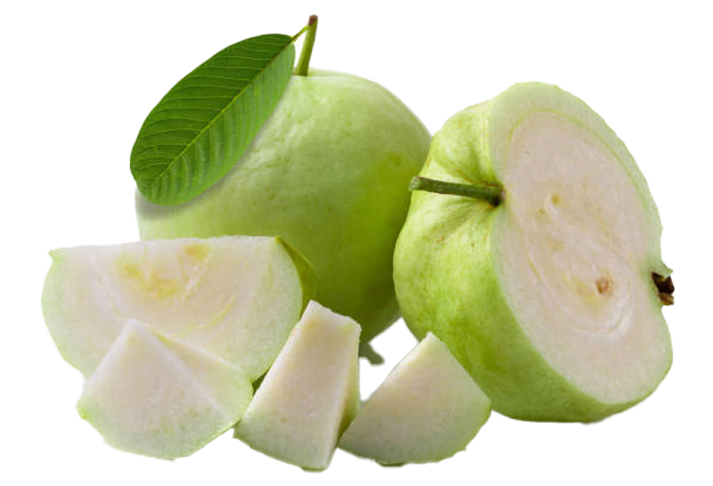 guava dices