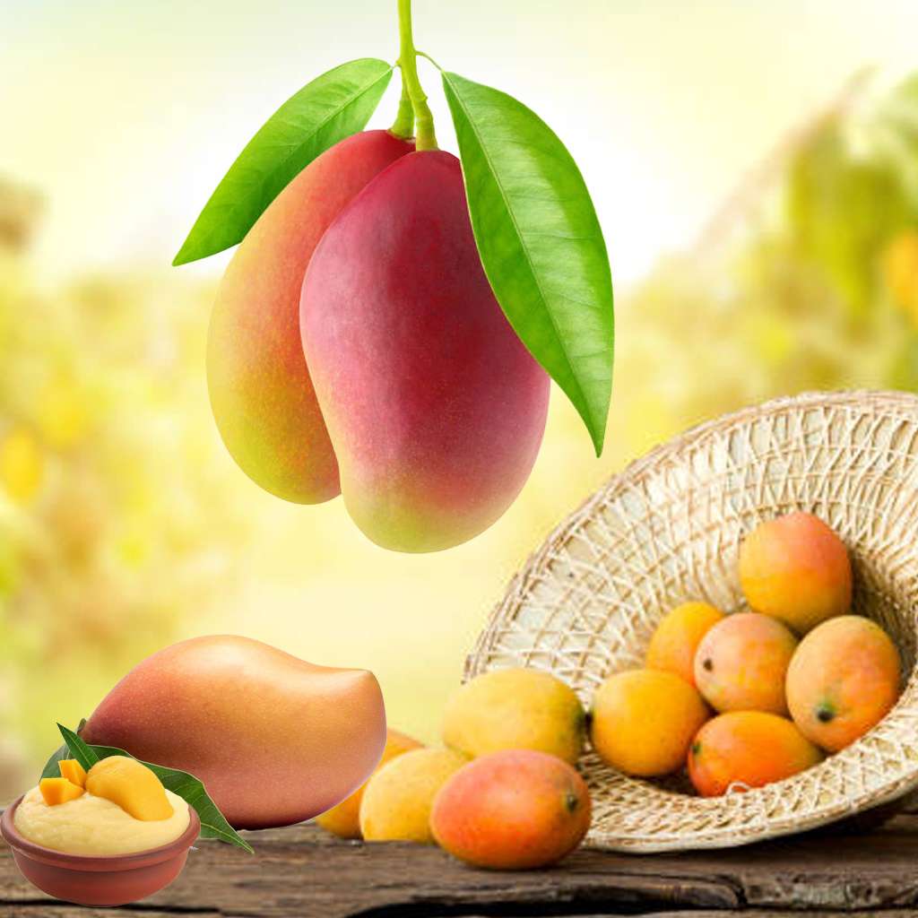 mango-puree-and-paste