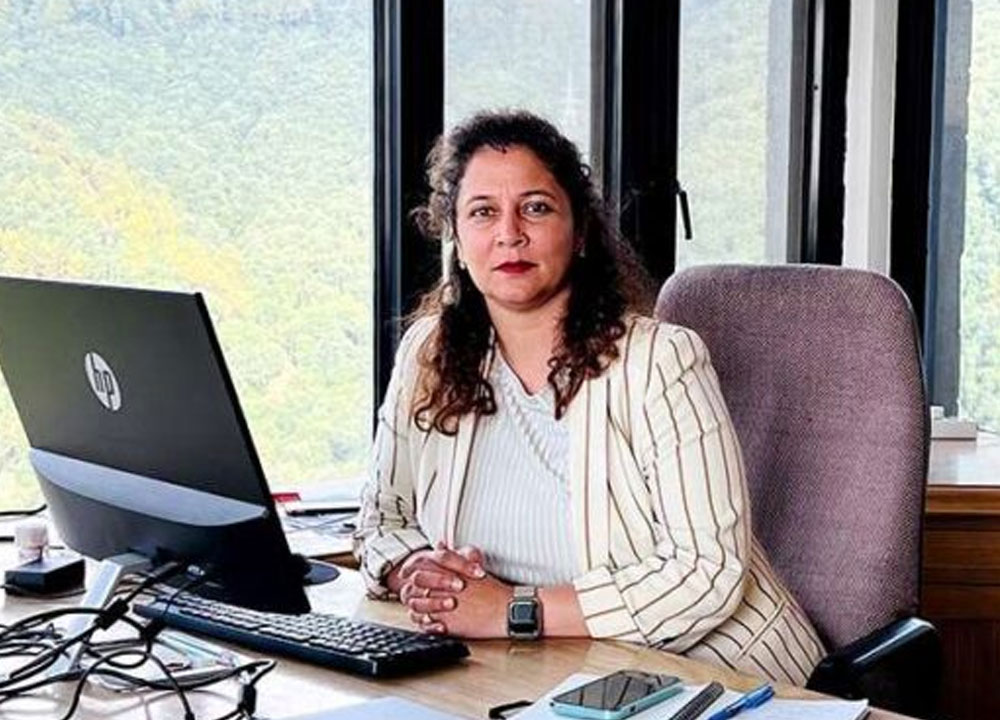 Shimla Hills Director